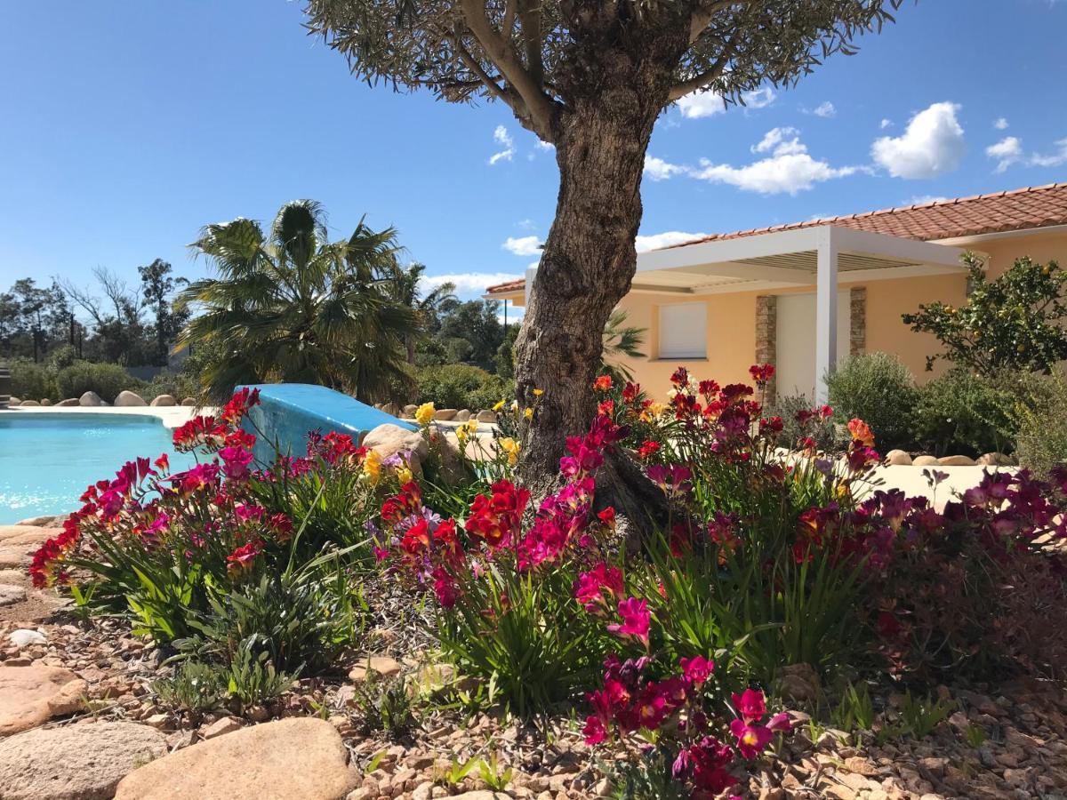 L'Hacienda Piscine Chauffee A 28, Spa, Boulodrome Et Court De Tennis Prives, 2 Villas Independantes Porto-Vecchio  Zewnętrze zdjęcie